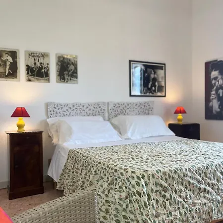 Luci A'mmare 로세토데글리아브루찌