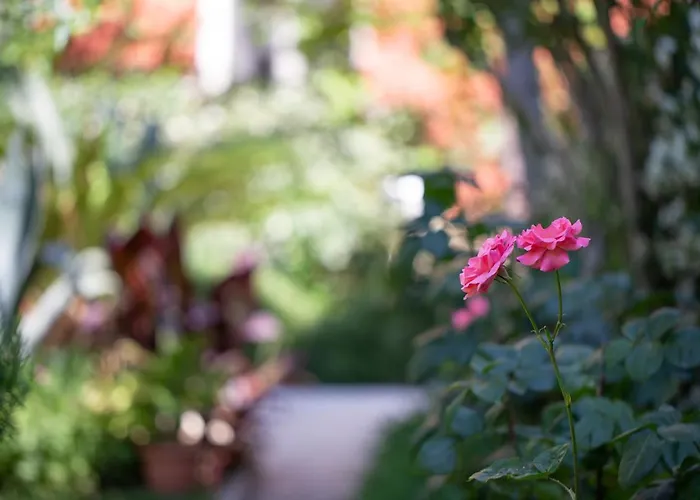 Luci A'mmare * רוזטו דליי אברוצי