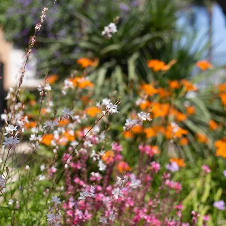 Luci A'mmare Panzió Roseto degli Abruzzi