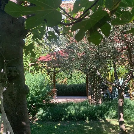Bed & Breakfast Luci A'mmare Roseto Degli Abruzzi