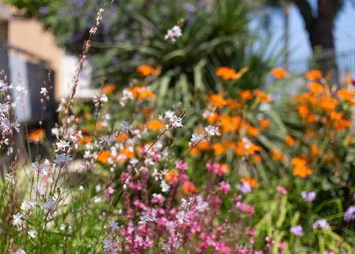 Luci A'mmare Bed and breakfast Roseto Degli Abruzzi