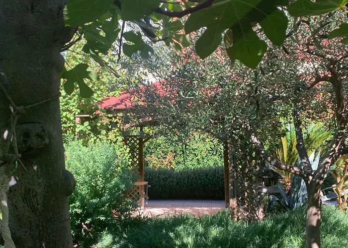 Bed & Breakfast Luci A'mmare Roseto Degli Abruzzi